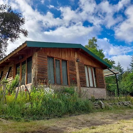 Cabana Camila Эль-Больсон Экстерьер фото